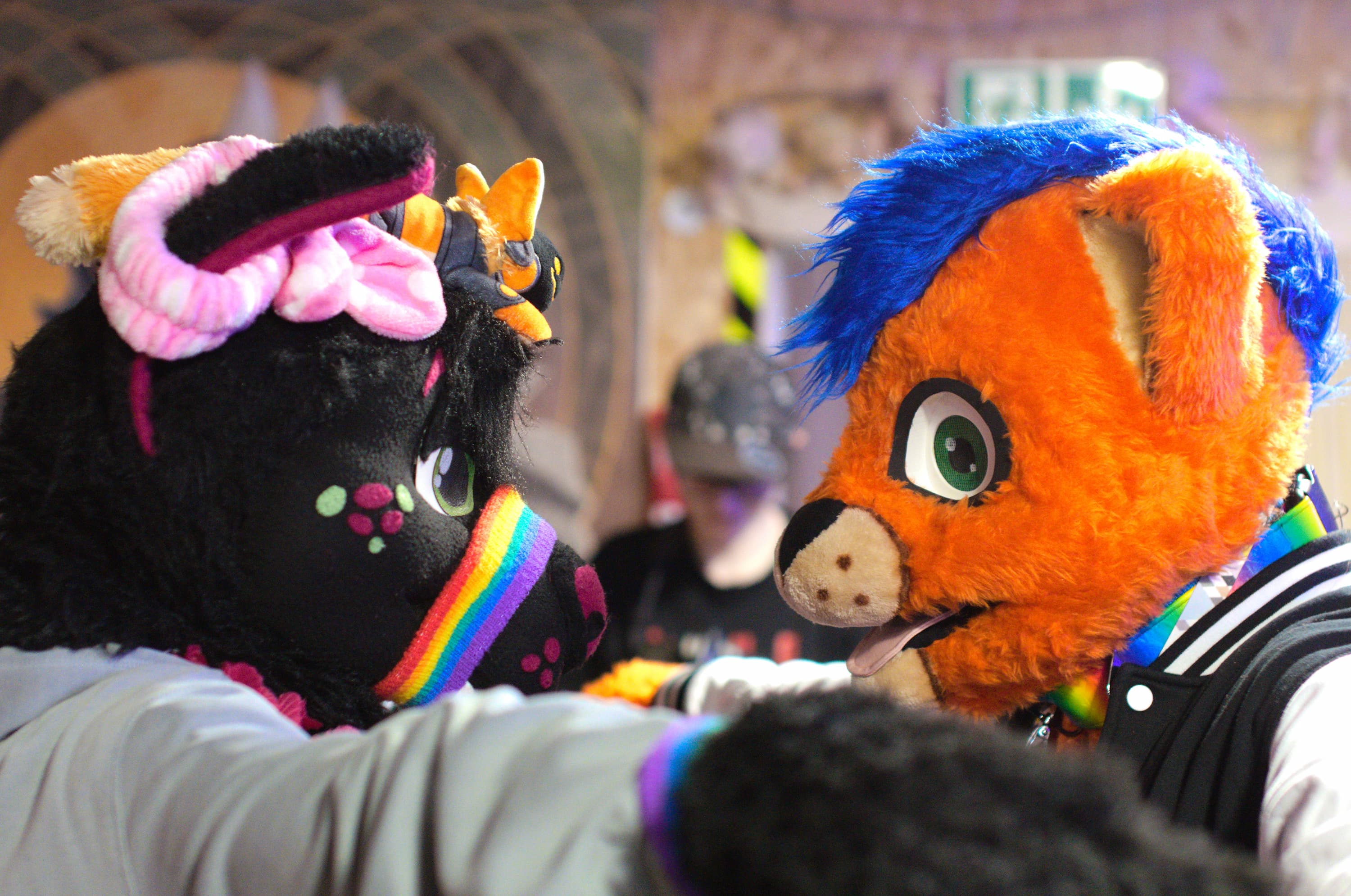 A black cat fursuit with purple spots and a purple nose with a rainbow band around its muzzle locking eyes with another orange cat fursuit with blue hair